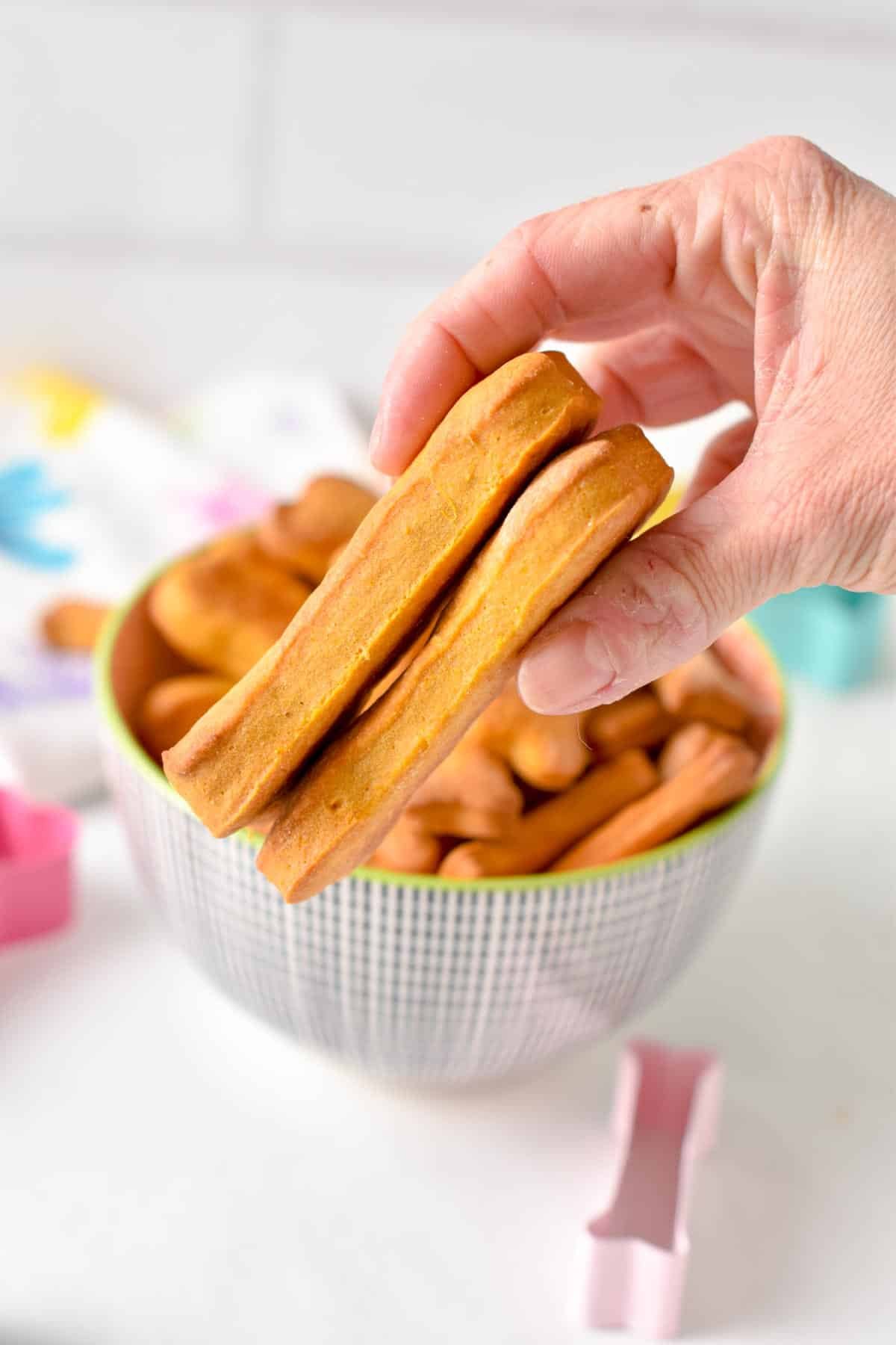 Holding 3-ingredient Dog Treats up close.