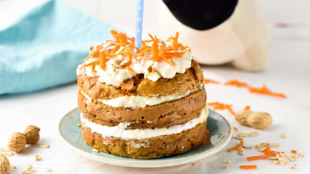 This Carrot Cake for Dogs is an easy, healthy dog cake recipe perfect to celebrate your dog's birthday. It's easy to make in one bowl and packed with nutrients that are good for your dog's skin and body.