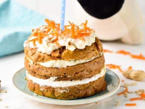 This Carrot Cake for Dogs is an easy, healthy dog cake recipe perfect to celebrate your dog's birthday. It's easy to make in one bowl and packed with nutrients that are good for your dog's skin and body.