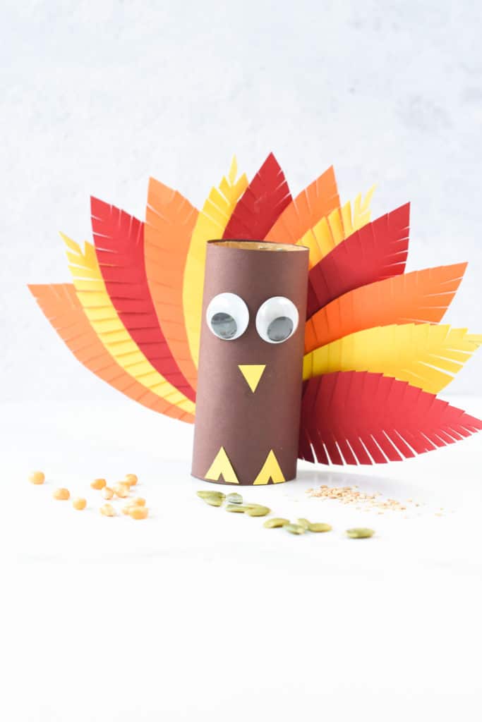 Turkey Toilet Paper Roll Craft - Busy Little Kiddies (BLK)